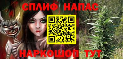 PSILOCYBIN Бугуруслан