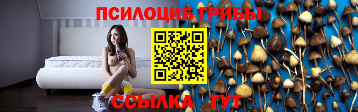 Псилоцибиновые грибы ЛСД Норильск